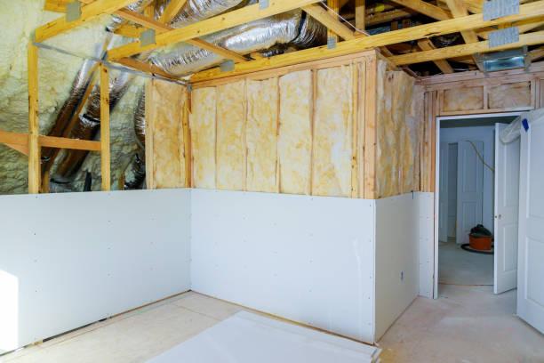 Best Cellulose Insulation in Seymour, WI