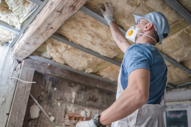 Types of Insulation We Offer in Seymour, WI