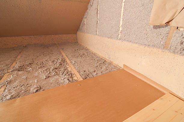 Best Eco-Friendly Insulation in Seymour, WI